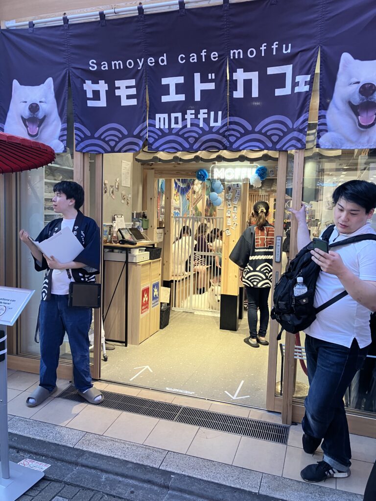 Samoyed cafe, Takeshita street, Tokyo