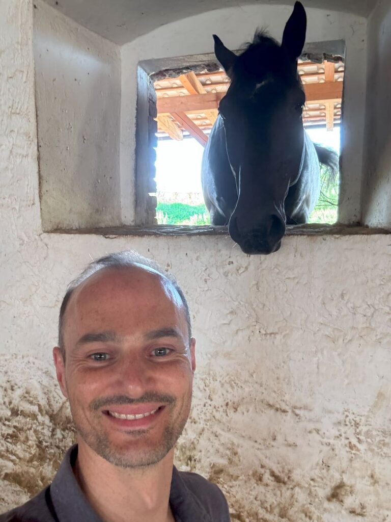 Domov pro kone horse shelter in Czech republic