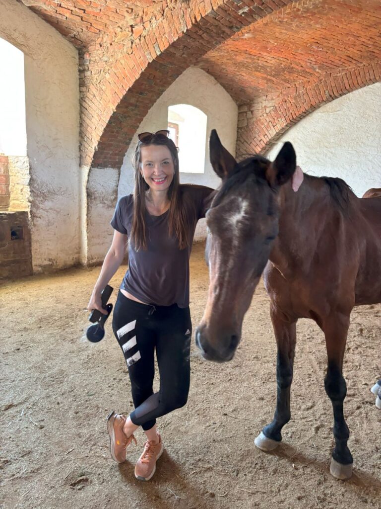 Domov pro kone horse shelter in Czech republic