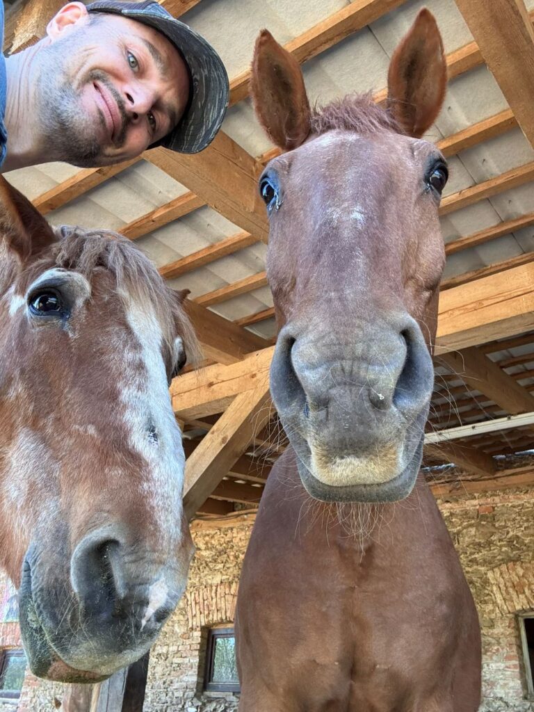 Volunteering with Horses: A Peaceful Day Among Three Herds at Domov pro koně